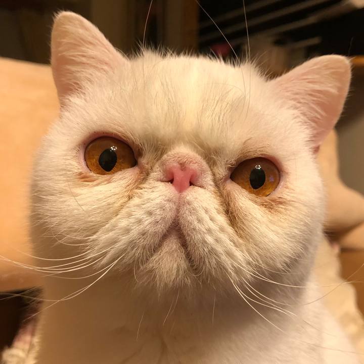 3db2b0ae 6a3a 4a77 a6e6 dd2cb33d3d5e 1646909842878