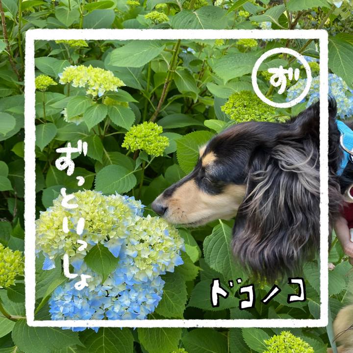 3db2c48d d648 48fa a815 4257433d3024 1685939898697