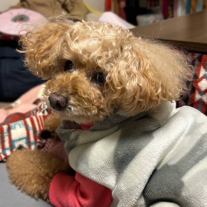 3db2daf2 a9d7 4f06 90c8 0b390d02b4c7 1771547394426