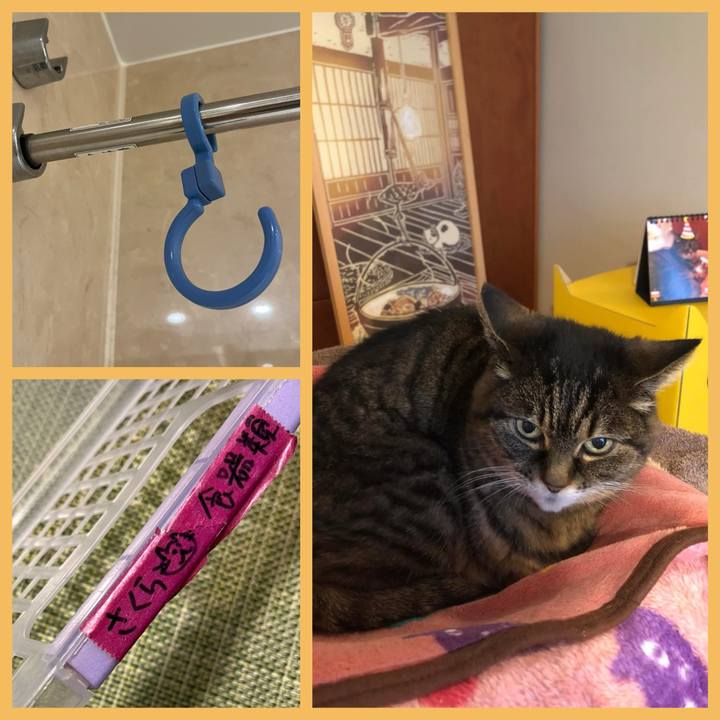 3db3010e 2b49 4763 aa32 e22a62b9d70b 1770772476439