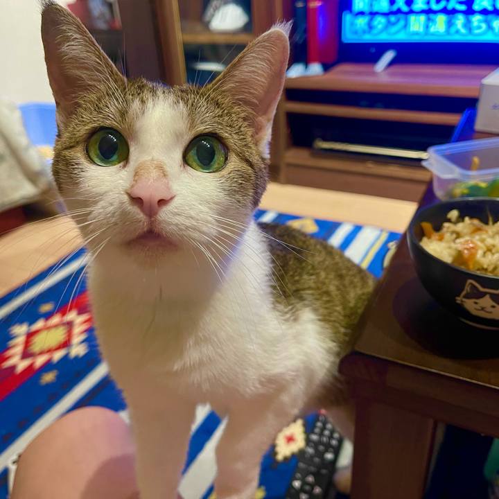 3db32130 8517 4bb1 bd27 d9bc7fe62a4e 1629197727229