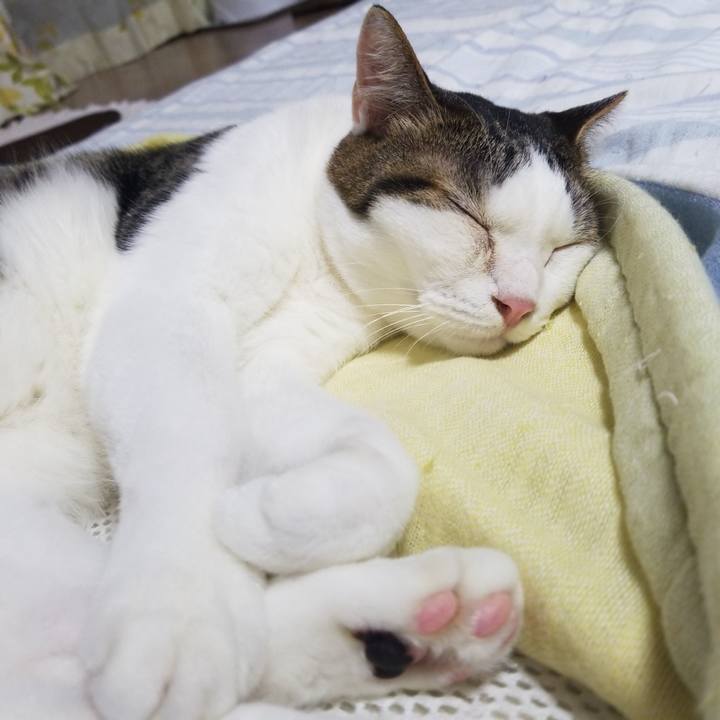 3db32d54 2f44 443b a7de c24944106880 1594465115465