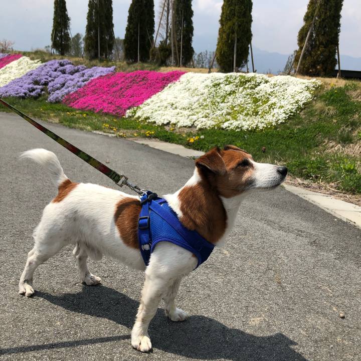 3db3636d 842b 488e ab8d 77966eeec7fd 1604920467843