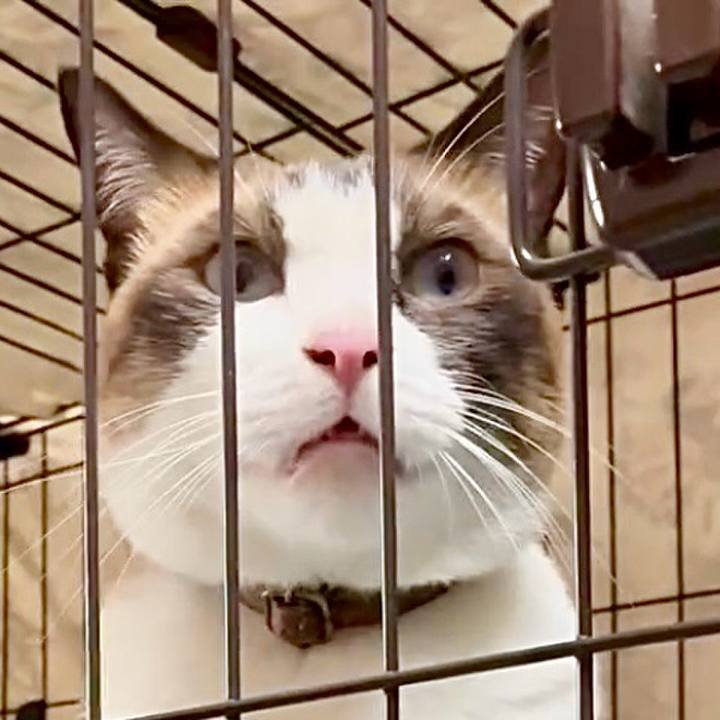 3db3b818 2cfe 4e16 a8af 4a5861e01697 1756288175919