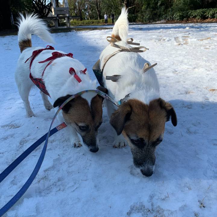 3db3f181 62cc 457d 95f1 37bb6a7c95cf 1644546944868