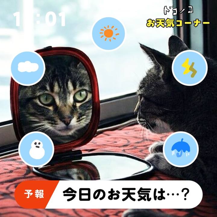3db402c6 9e11 4509 b599 ff45afb6c5f2 1781748617091