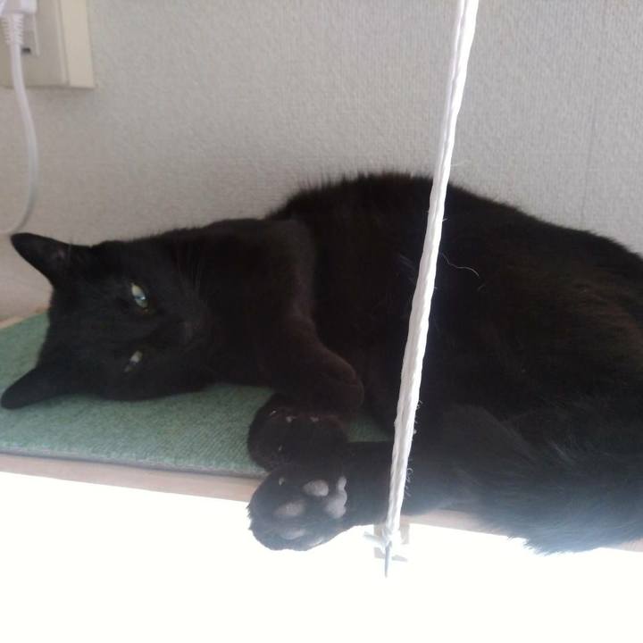 3db40321 1f27 4653 b36f 397178a9106d 1610538622291