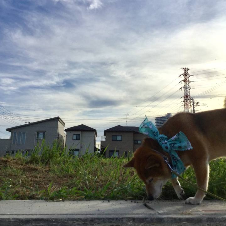 3db41d04 481a 4c71 b33a 829936624594 1565081660549