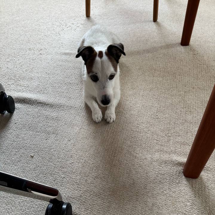 3db44749 337d 4120 b4fa 7f818044d979 1772106756280