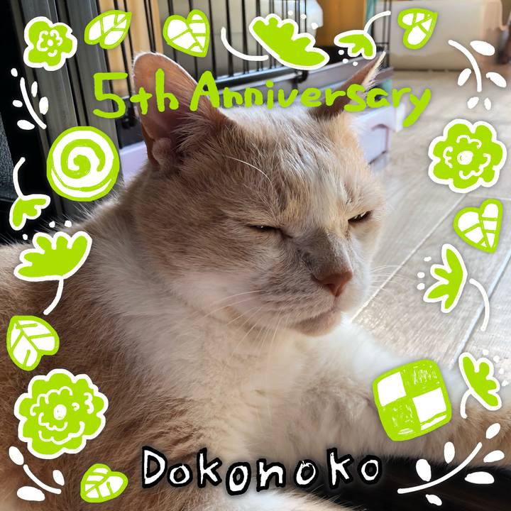 3db448ac 3a95 4820 bbb7 a56db2db8049 1623107848697