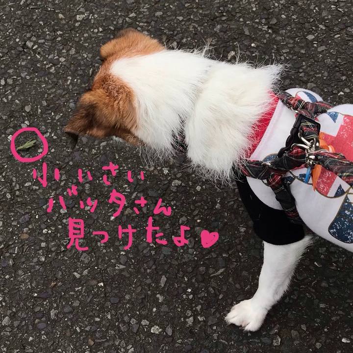 3db44c6c 072e 48a5 ad5c 84348bec9a12 1539774327499