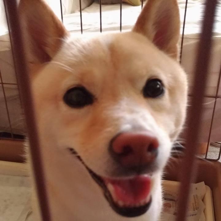 3db44da1 5278 48eb 841f 9715f2350ff1 1591824616164