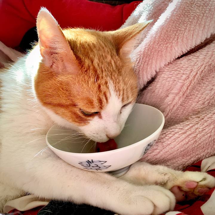 3db4f129 6d7e 47f2 9249 04839817f868 1573624217273