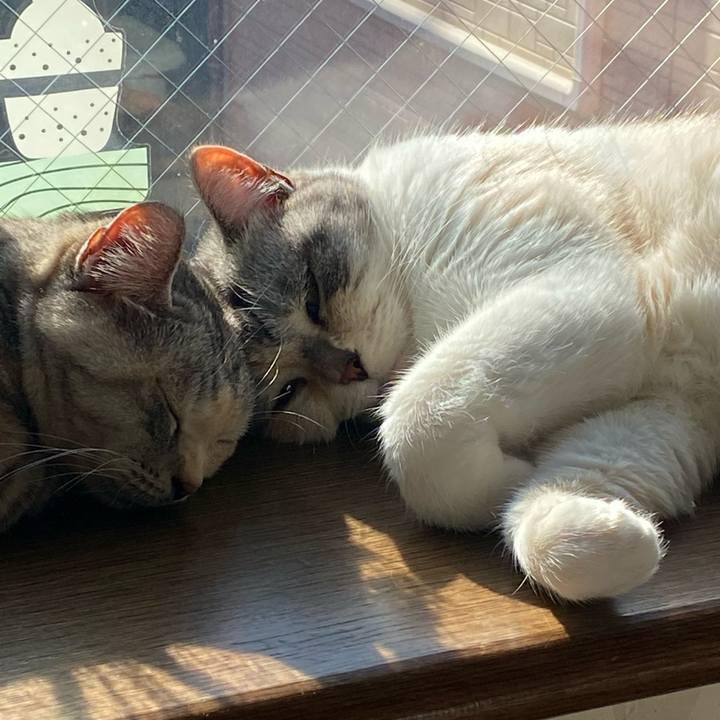 3db4fdff 7a45 4d07 92e0 08453b43623d 1639966023602