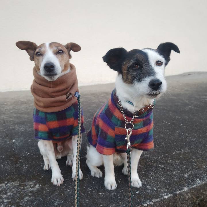 3db52948 aed4 4a5d 9945 df24b83280df 1770335280748