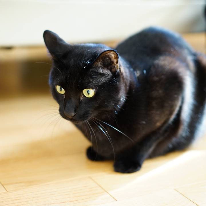 3db5827d 0e54 403d 9678 9762fbab7666 1554335077653