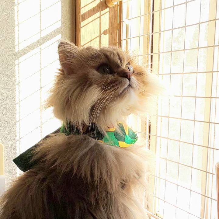 3db5904e 106c 4e2a be2e cdc1566d2eca 1613787757864