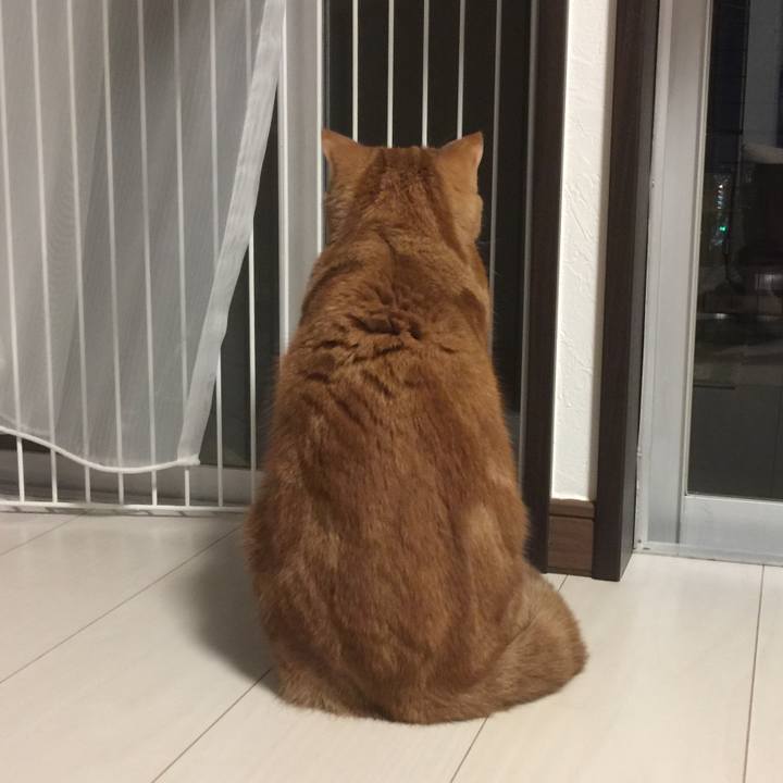 3db5b23f ec73 4cb5 bca4 48bb0099fab7 1543852554448