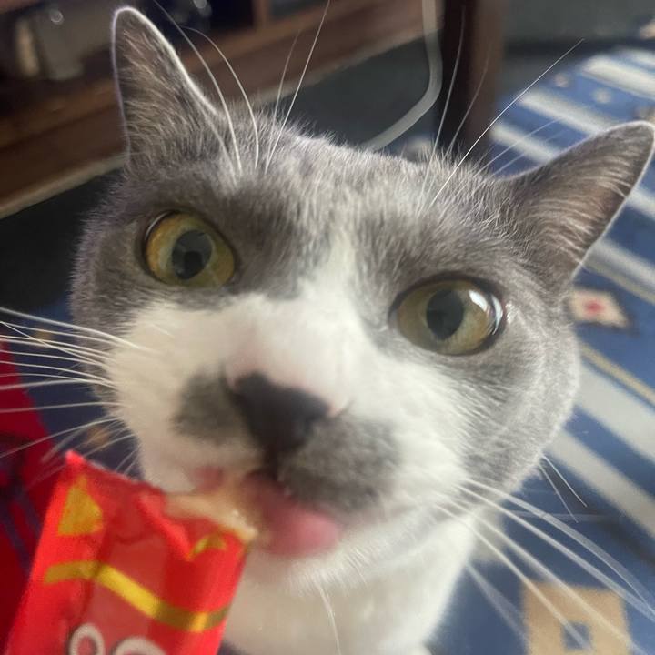 3db5ef3a f145 4abf baaa 0a5e02bb6646 1687161856749