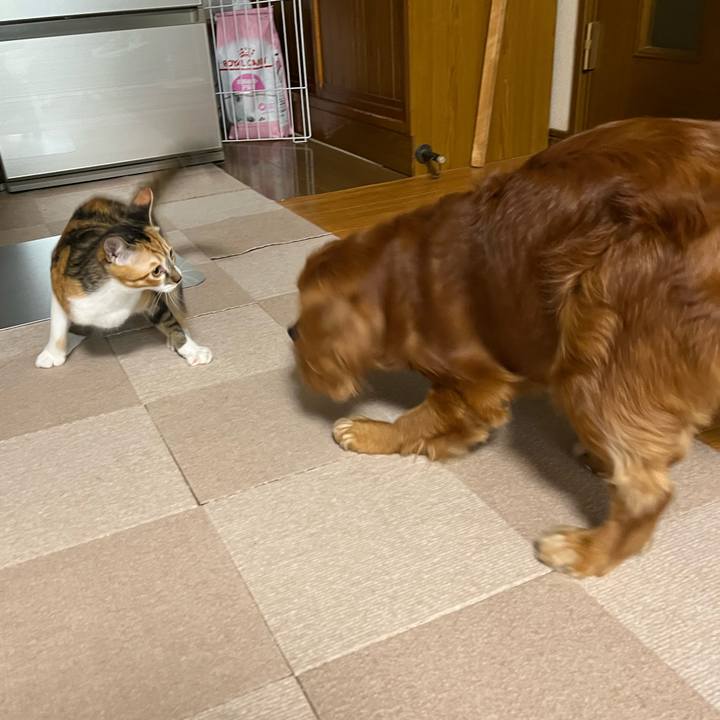 3db5f1ad d383 4ba1 9cd2 f98ce91056f7 1660775373632