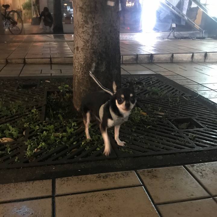 3db63d50 cb60 4478 88b3 d9312c380969 1508932065271