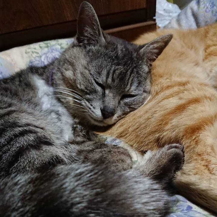 3db6841a 8e79 49be bb48 7e20a4bb6fbe 1590583917585