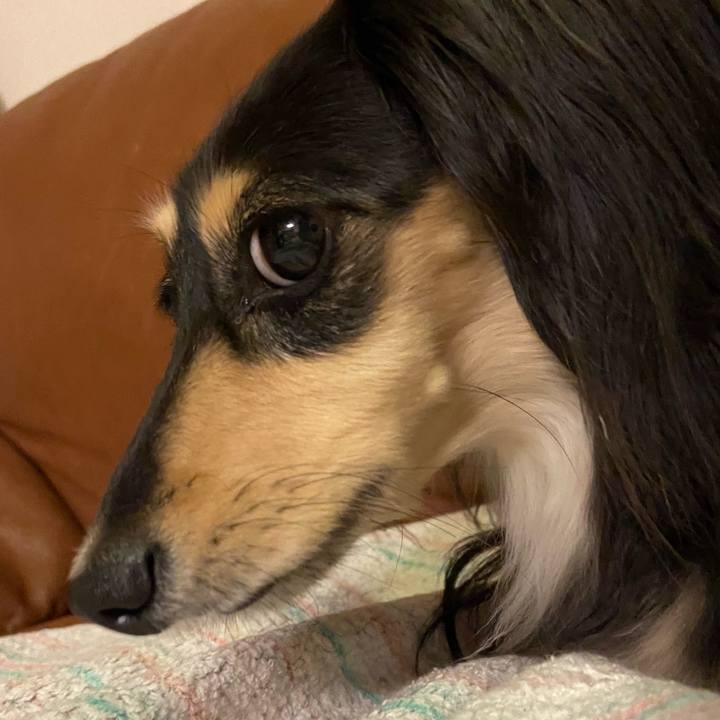 3db69a63 55b3 44bd bae4 f185991d6b4b 1754521283312