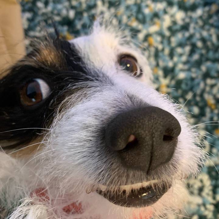 3db6b4c7 0e0a 441c 8080 504cd309340b 1581746963042