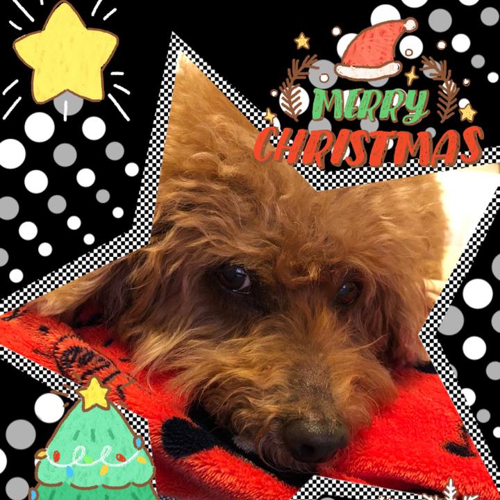 3db6e33a 15fa 4531 94c7 f289af74201c 1608821536471