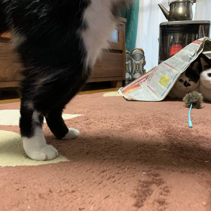 3db704c5 2738 4c38 98dc 2b9d045e6a65 1547025406758