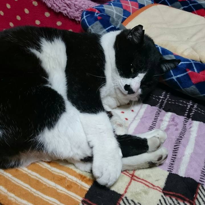 3db71466 19e2 4a4b 8dfc 5b8bcee09085 1521360976858