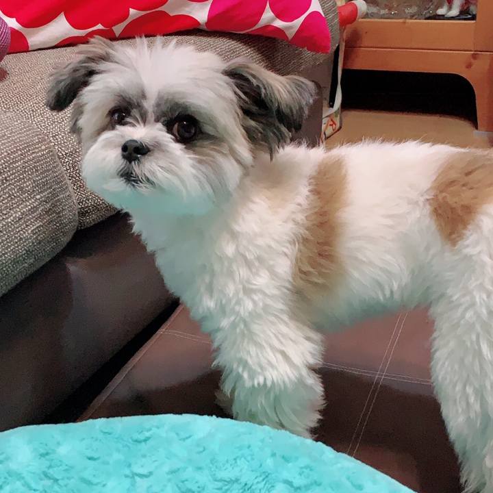 3db74de5 aab3 4c58 8c13 b2a00e88a96a 1559534152019