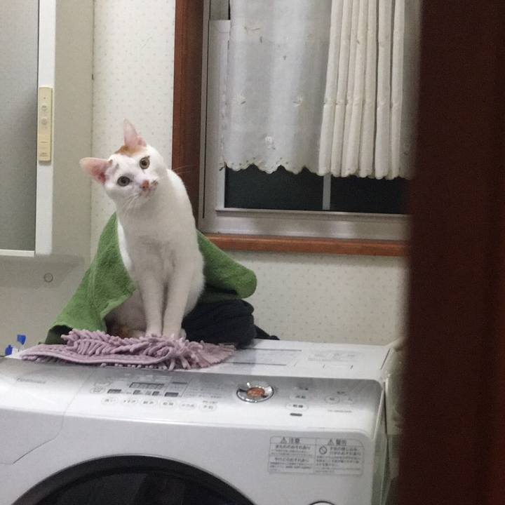 3db78cab b0a0 4de0 bcd8 8f2226b99f17 1519456579310