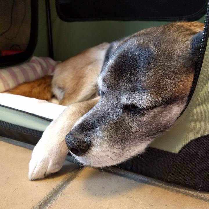 3db7a504 efce 439b b905 029a5eb8373a 1718239470328