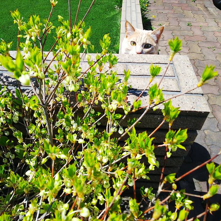 3db7aaee d98c 45d4 97a0 140d92f5e5c0 1557550525612