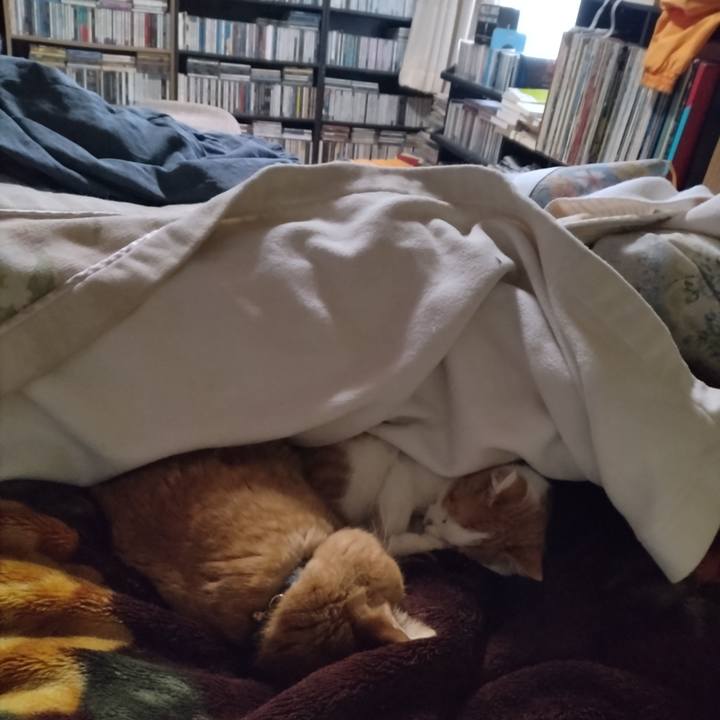 3db7b255 0d28 48a3 bc92 d7606155fdf3 1734387892916