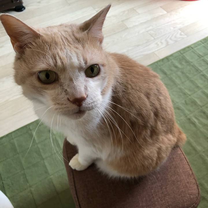 3db7bb9a df49 4141 a5c4 89cd1cb9260b 1609036290301