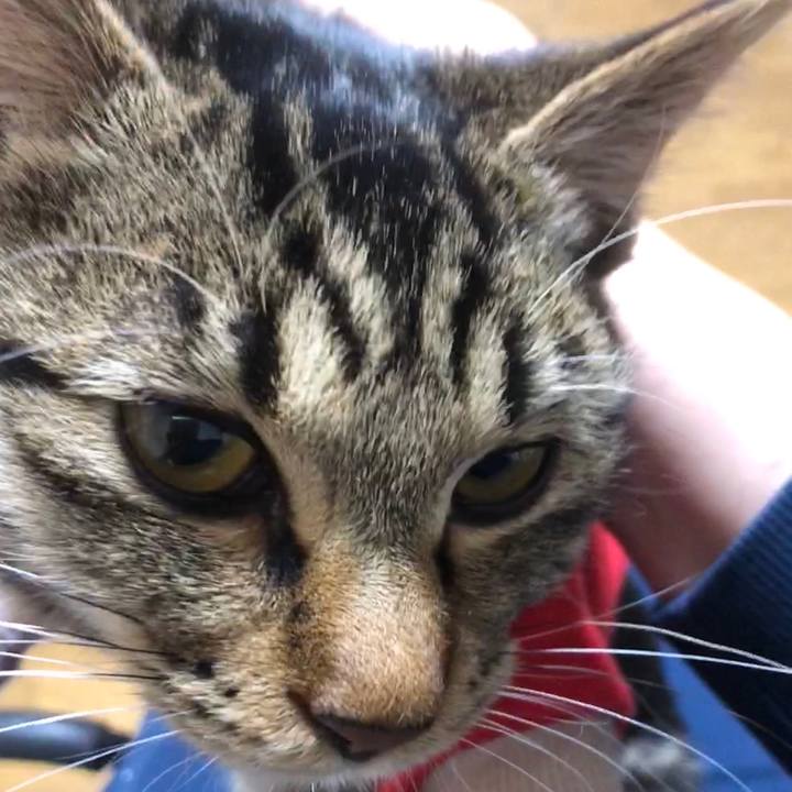 3db7c0fb ea4e 454c bcdf 9ed042138c8d 1738139125733