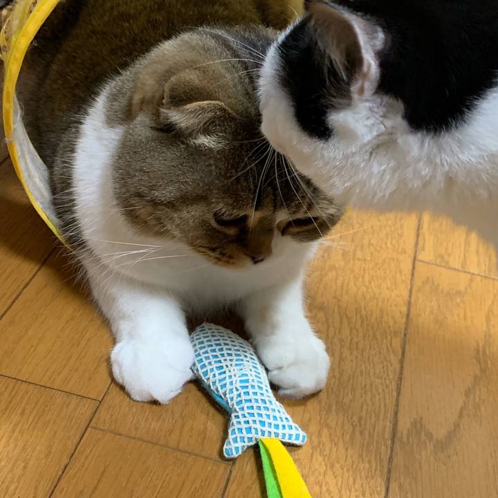 3db82612 9ace 4609 89e0 ac01973974b9 1549174459022