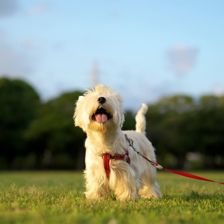 3db83455 928e 4aa9 a5e1 f547fc95c4e8 1532952077990