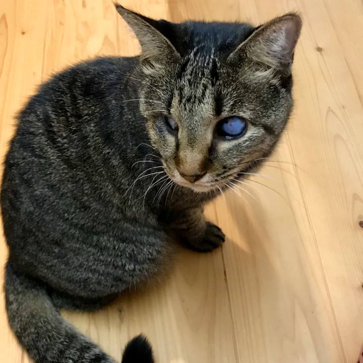 3db85a4f 20f9 4bc2 b929 4b59a89f9962 1541474250194