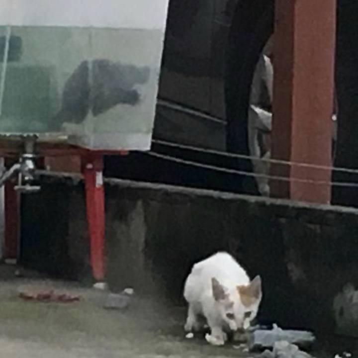 3db88f06 e1c1 4947 9b01 5f8f428ee662 1594374097162