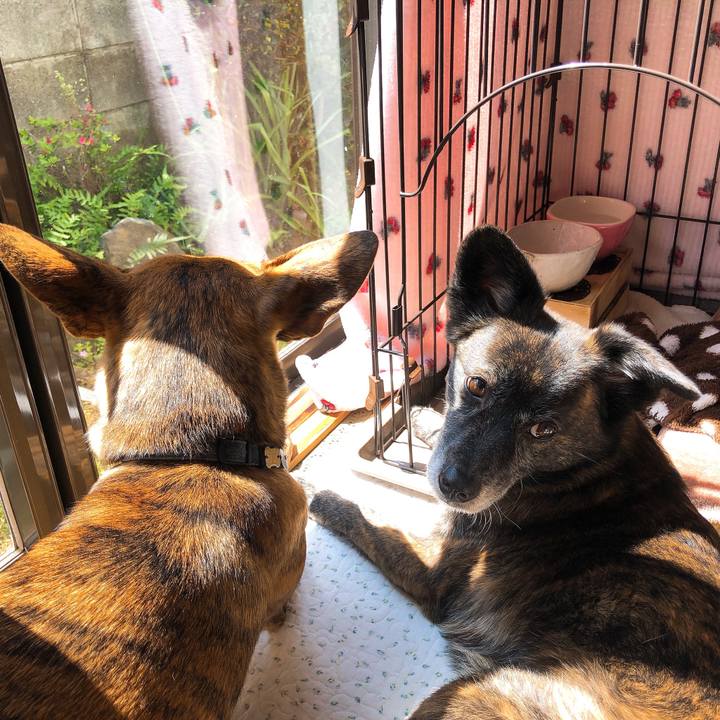 3db8accb 4340 45d2 a1b0 21c1739d7eef 1587012326921