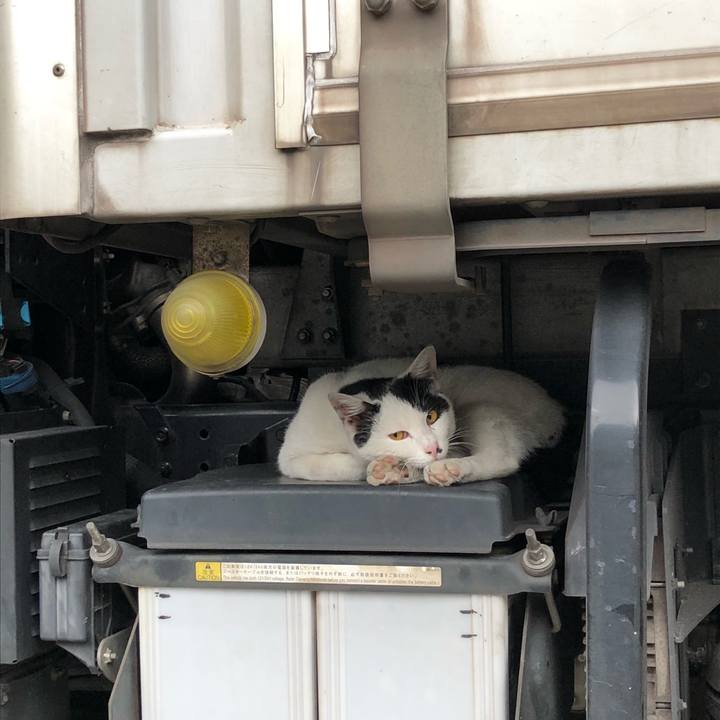 3db8ba32 228c 40a9 8433 8980c5152306 1526651723442