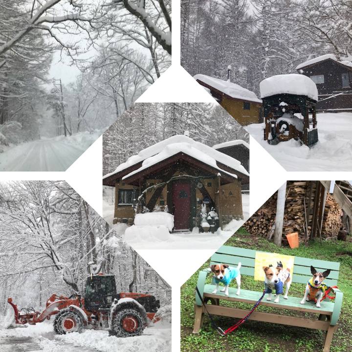 3db8d0f5 cb3e 4dcd 9204 4df3439dbef5 1545970787709