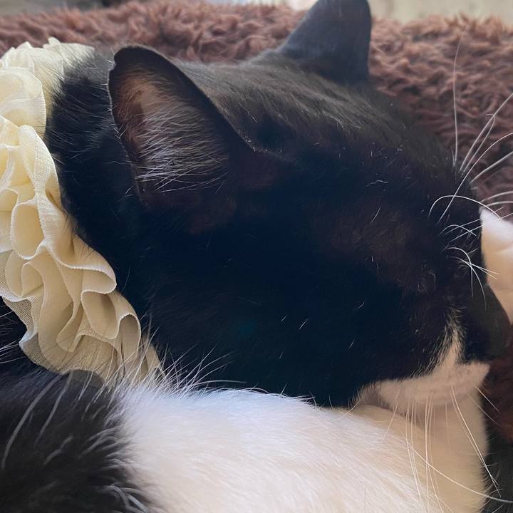 3db8d94a 53ed 43d9 8c4f 31936968f1ca 1737691334899