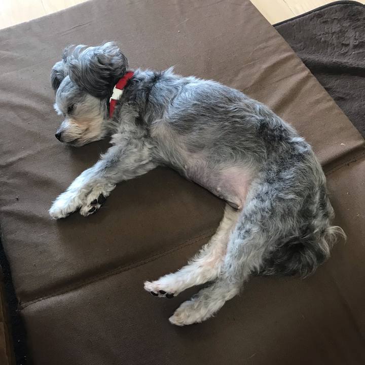 3db8e28f e0e1 4bd6 9913 b9e9e7f7bbb7 1540098266255