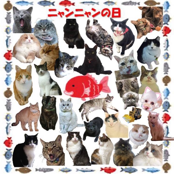 3db9288d a6c0 466e 9511 33ba89461ac6 1519299595014