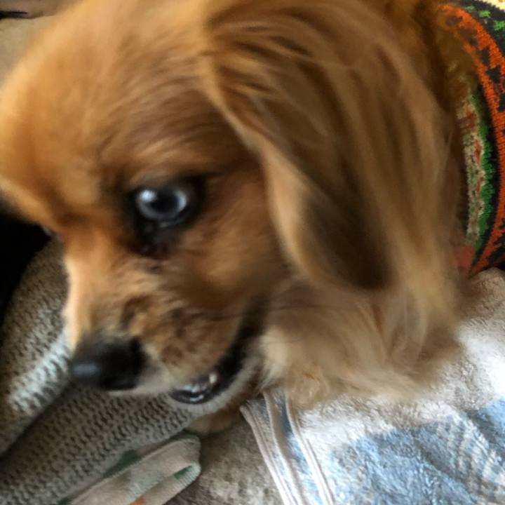 3db93126 015a 4f8f 877e 200e70a83335 1552428696306