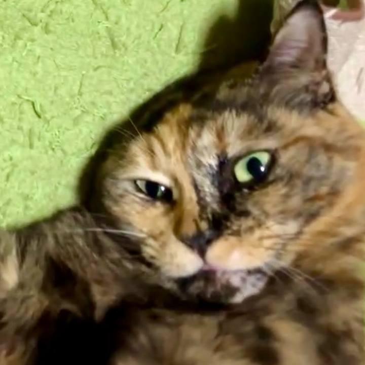 3db94d37 99ec 4039 bd80 f40f16eaf9ed 1734168214535